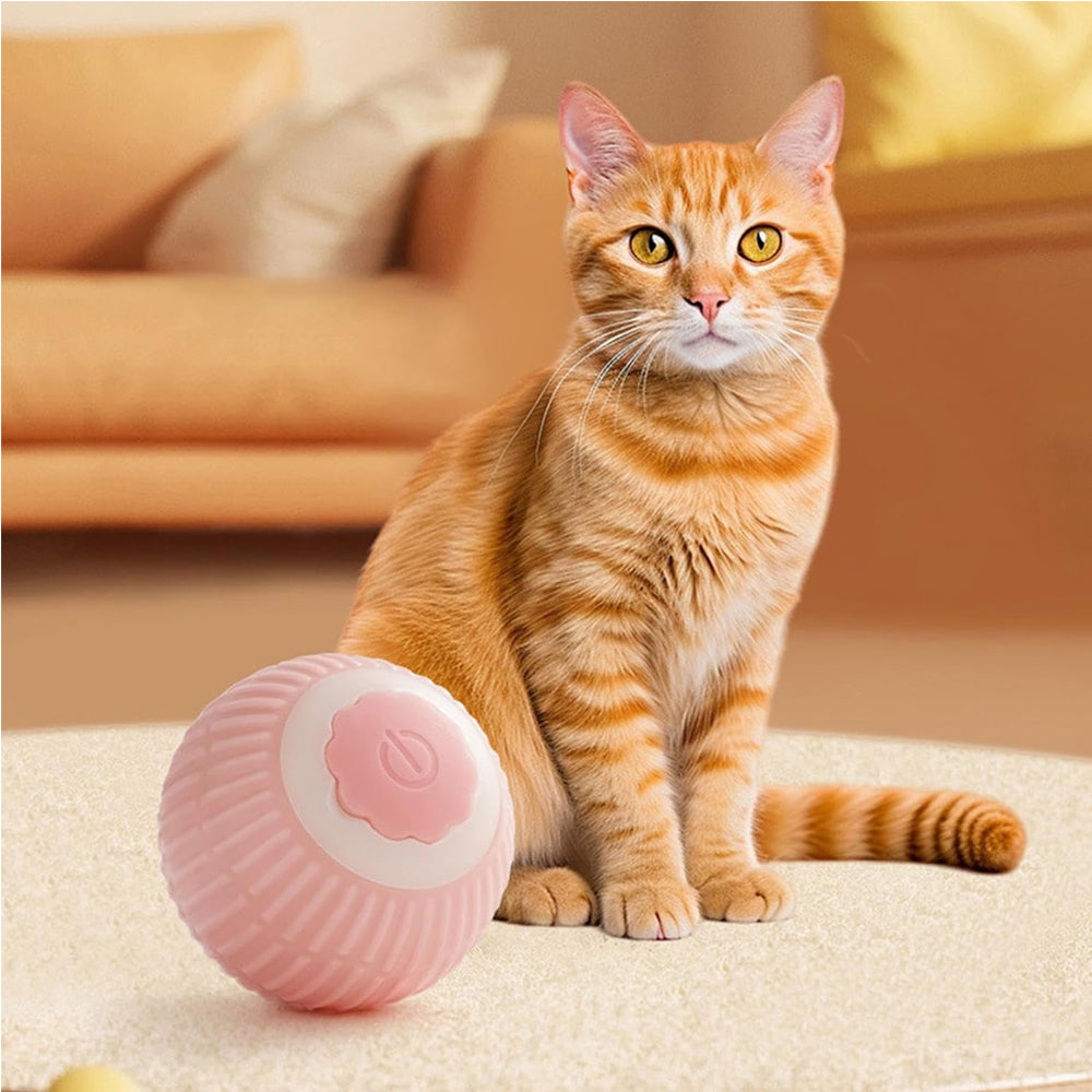Interactive Rolling pet Ball