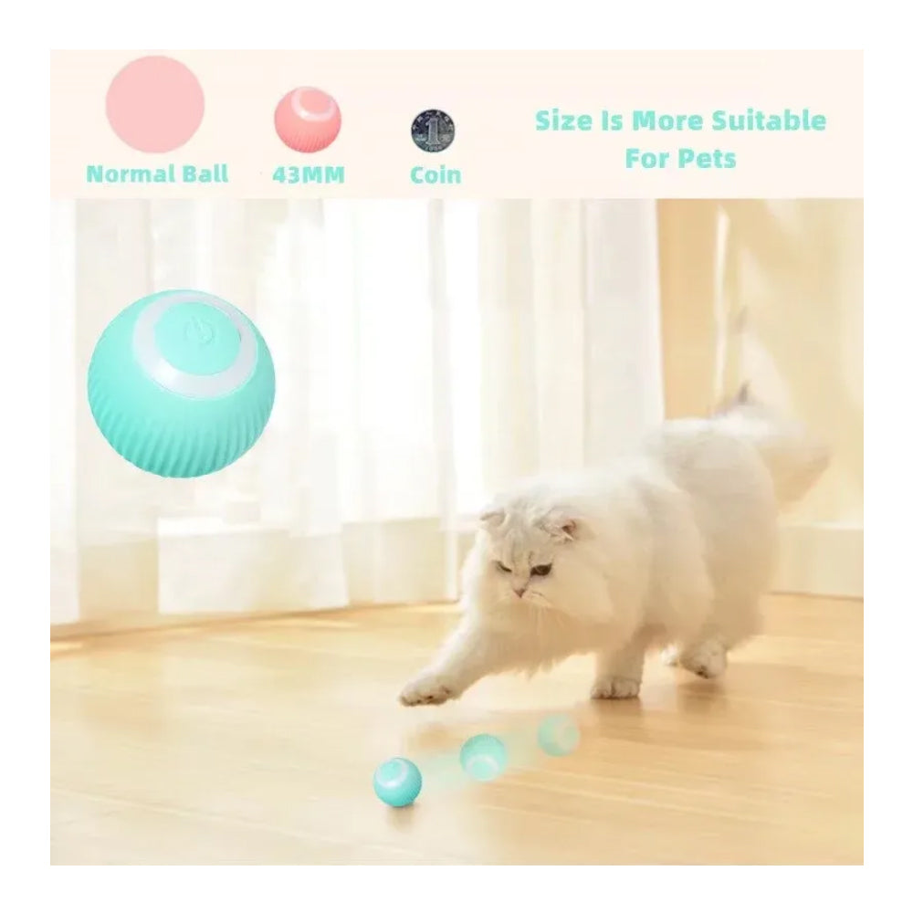 Interactive Rolling pet Ball