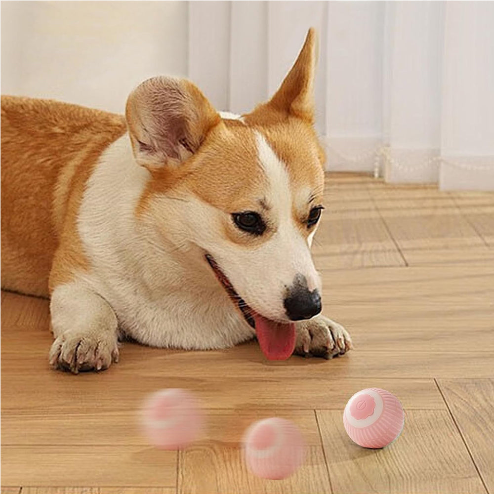 Interactive Rolling pet Ball